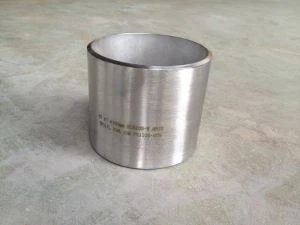 Alloy C 22  Hastelloy C 22  Socket Falsifikat Threaded Plug Nipple Boss Union Daħħal