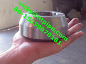 UNS N06022 2.. 4602  Elbow Tee Cross Cross Weldolet Sockolet Threadolet