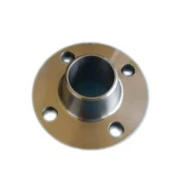 SS321 Wn Flange